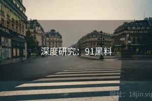 深度研究：91黑料