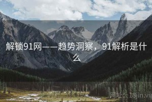 解锁91网——趋势洞察，91解析是什么