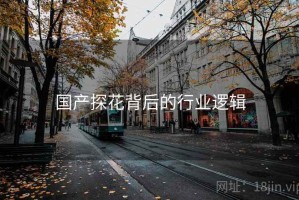 国产探花背后的行业逻辑