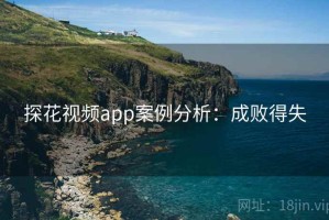 探花视频app案例分析：成败得失