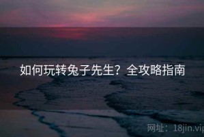如何玩转兔子先生？全攻略指南