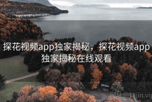 探花视频app独家揭秘，探花视频app独家揭秘在线观看