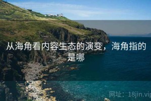 从海角看内容生态的演变，海角指的是哪