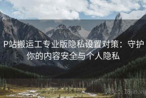 P站搬运工专业版隐私设置对策：守护你的内容安全与个人隐私