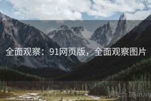 全面观察：91网页版，全面观察图片