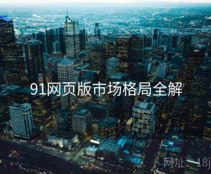 91网页版市场格局全解