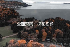 全面观察：探花视频