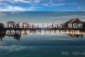 黑料万里长征首页深度解析：背后的趋势与未来，万里长征黑料未打烊
