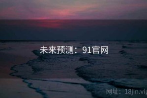 未来预测：91官网