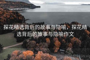 探花精选背后的故事与隐喻，探花精选背后的故事与隐喻作文