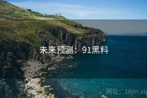 未来预测：91黑料