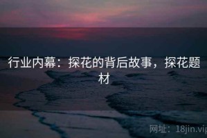 行业内幕：探花的背后故事，探花题材