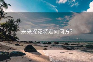 未来探花将走向何方？