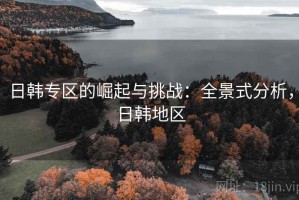 日韩专区的崛起与挑战：全景式分析，日韩地区