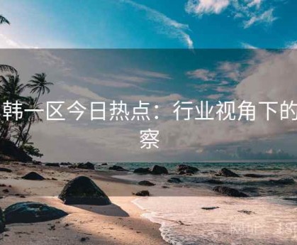 日韩一区今日热点：行业视角下的观察