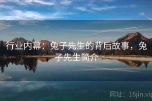 行业内幕：兔子先生的背后故事，兔子先生简介