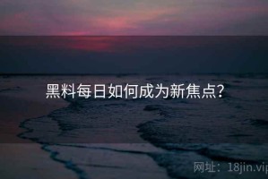 黑料每日如何成为新焦点？