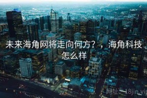 未来海角网将走向何方？，海角科技怎么样