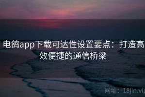 电鸽app下载可达性设置要点：打造高效便捷的通信桥梁