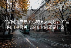 91官网用户最关心的五大问题，91官网用户最关心的五大问题是什么