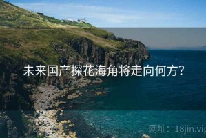 未来国产探花海角将走向何方？