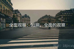 全面观察：91网，全面的观察