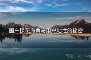 国产探花海角与用户粘性的秘密