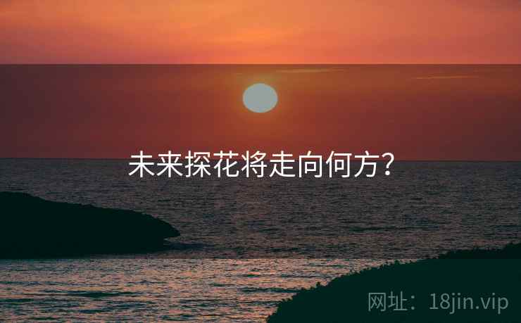 未来探花将走向何方？
