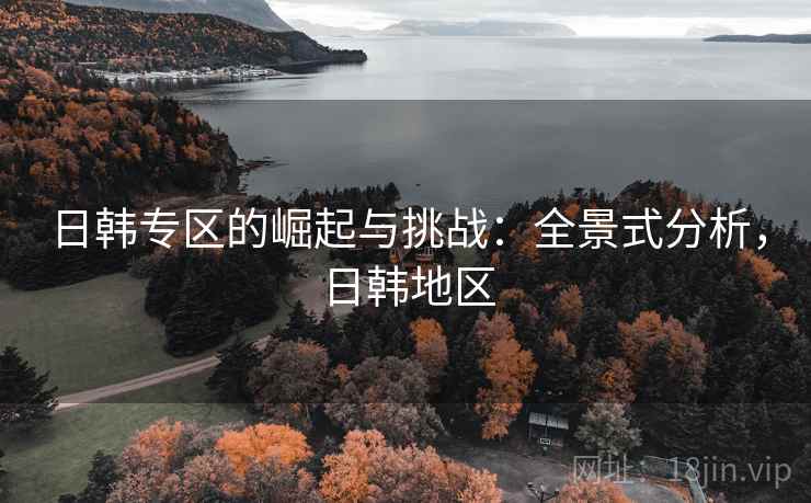 日韩专区的崛起与挑战：全景式分析，日韩地区