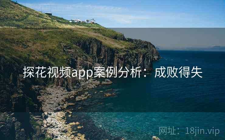 探花视频app案例分析：成败得失