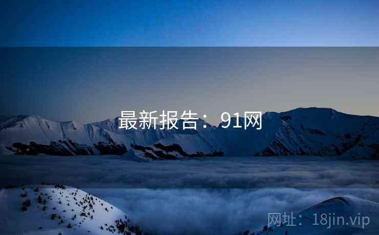 最新报告：91网