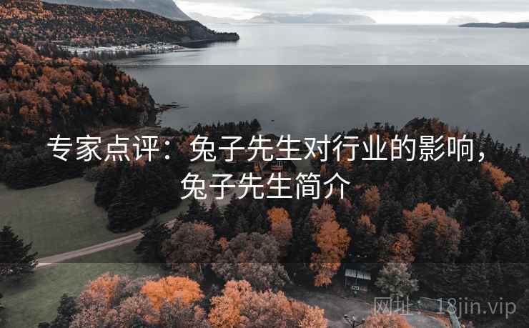 专家点评：兔子先生对行业的影响，兔子先生简介