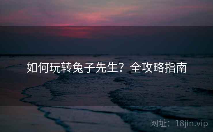 如何玩转兔子先生？全攻略指南