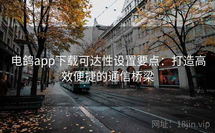 电鸽app下载可达性设置要点:打造高效便捷的通信桥梁 电鸽app下载可达性设置要点:打造高效便捷的通信桥梁